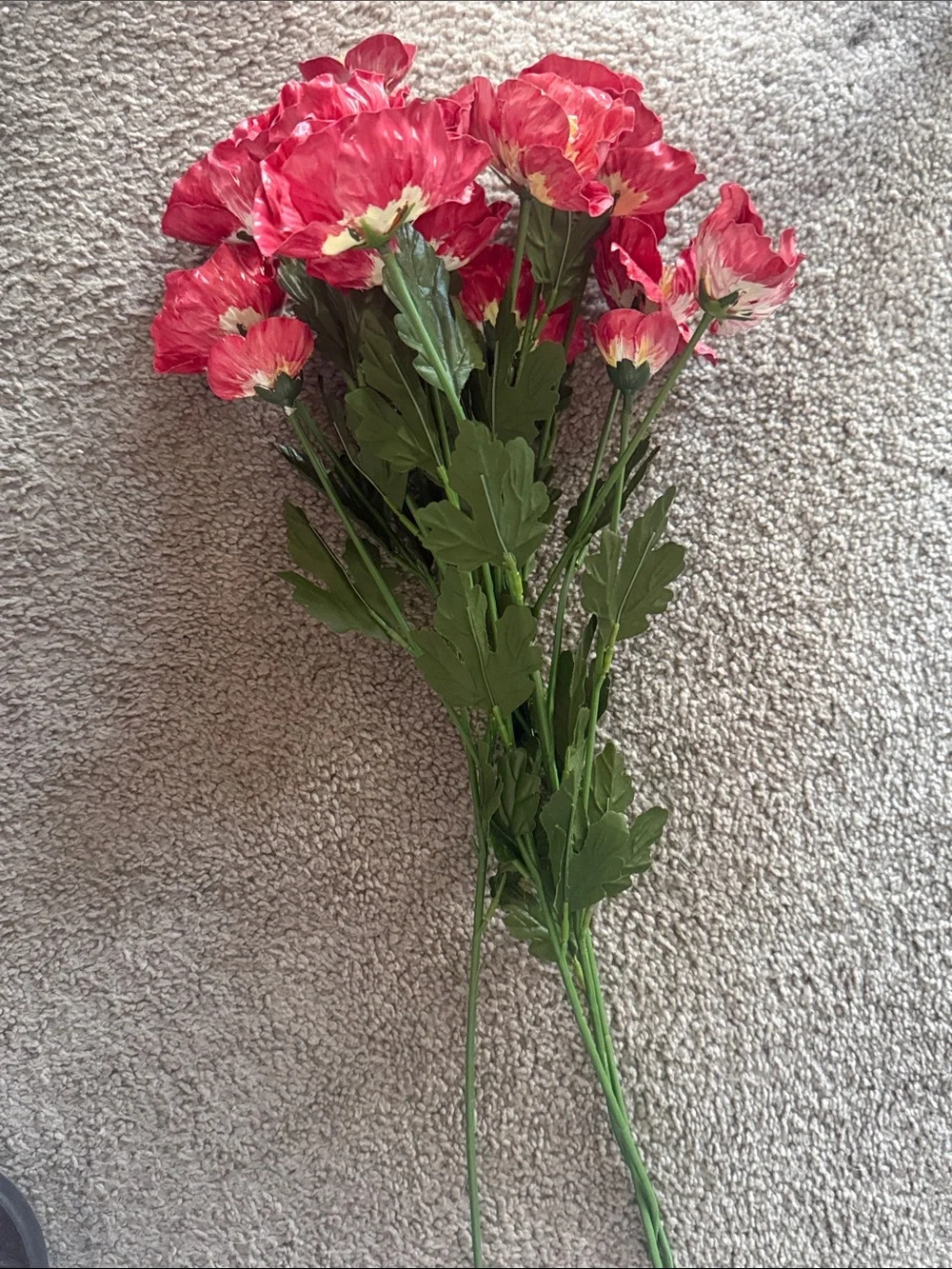 Red Hand Painted Poppy Stem Bouquet!